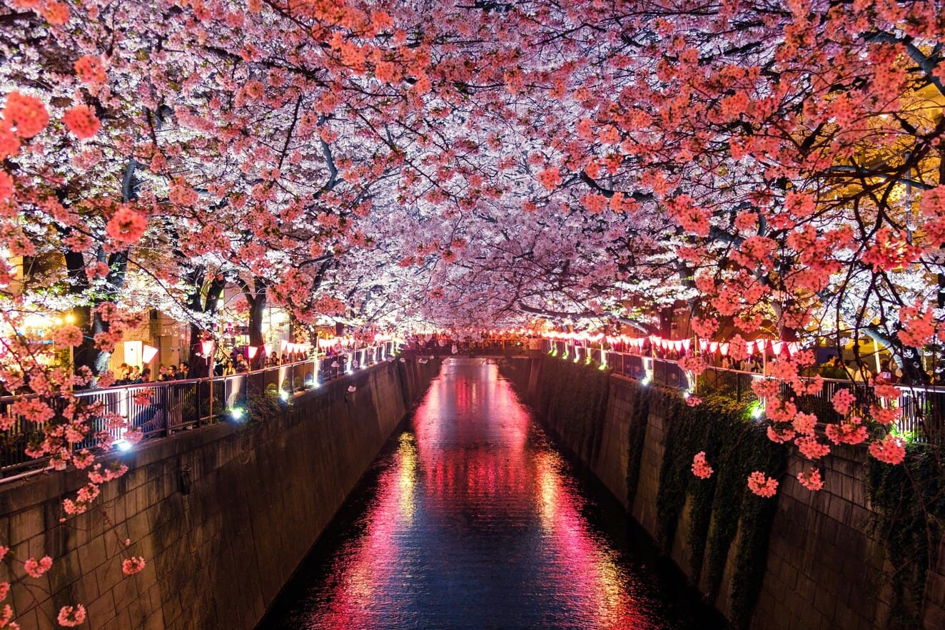 日本の風景