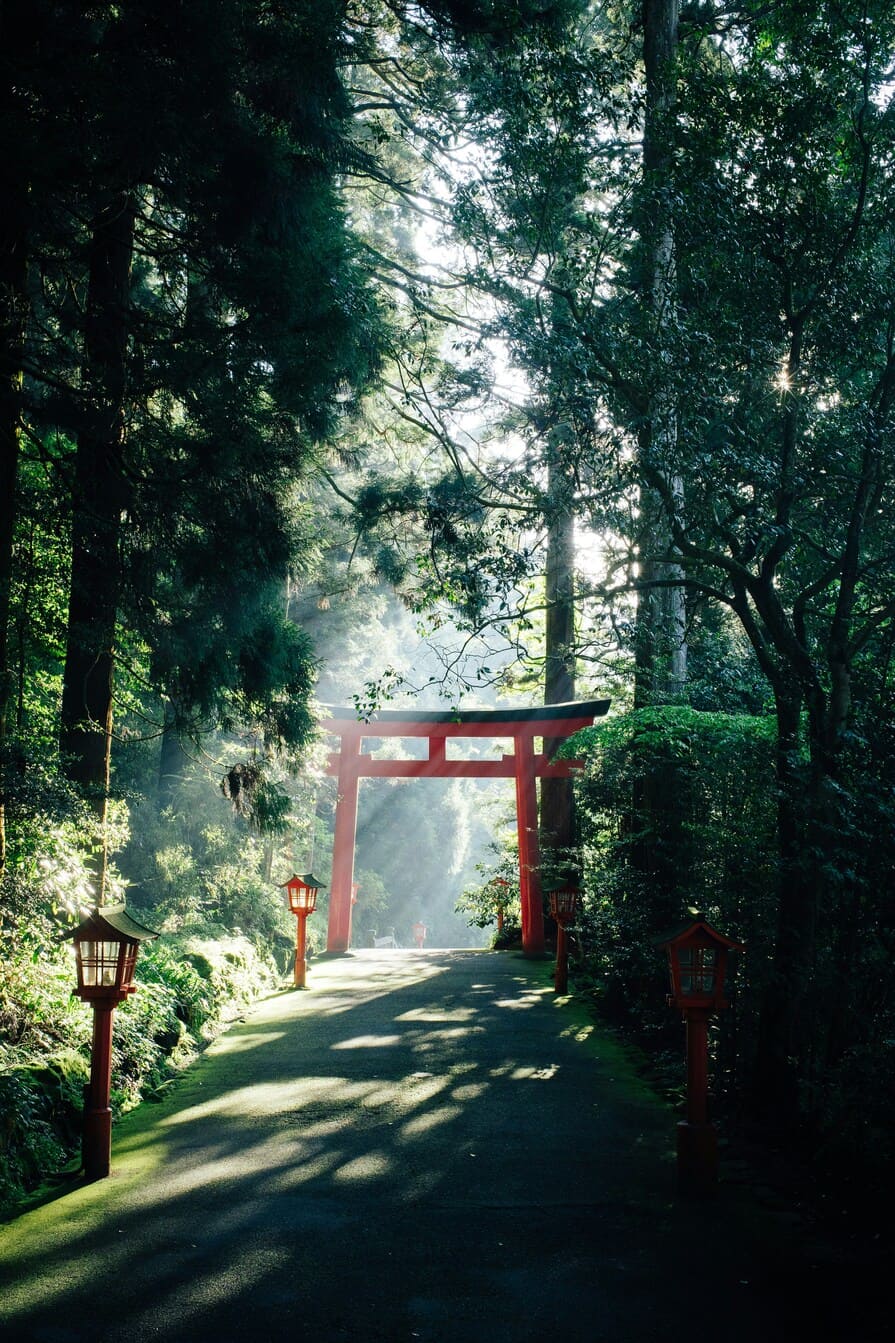 富士山撮影スポット完全ガイド：定番から穴場まで